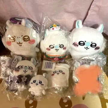 치이카와 모몽가 6세트