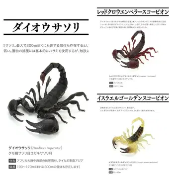 생물대도감 전갈 컴플리트 세트