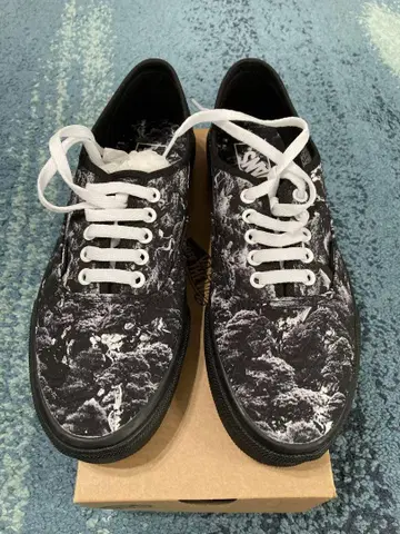 Vans Tradman's Authentic 8H