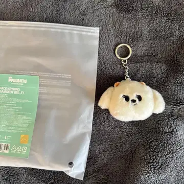 TXT 뿔바투 범규 밤굿 페이스 키링