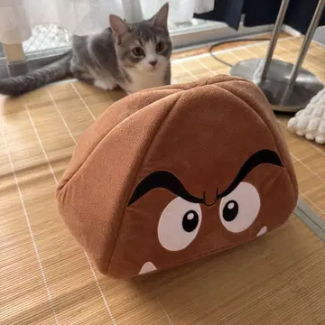 쿠리보 모자
