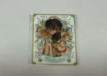 지박소년 하나코 군 G 판타지 부록 클리어 카드 보타니컬 유키 미나모토