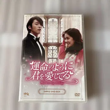 운명처럼 너를 사랑해 SIMPLE DVD-BOX
