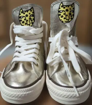 츠모리치사토, TSUMORI CHISATO