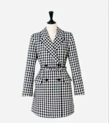 sheller beltmark gingham jacket dress
