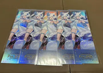 FGO 페스티벌 2025 티켓풍 카드 니키치치 5세트