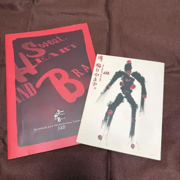 ARB 콘서트 팜플렛 2권 세트 덤 포함