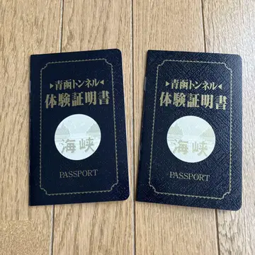 체험 인증서 오렌지 카드 세트