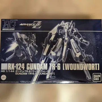 HG 1/144 RX-124 GUNDAM TR-6 [WOUNDWORT]