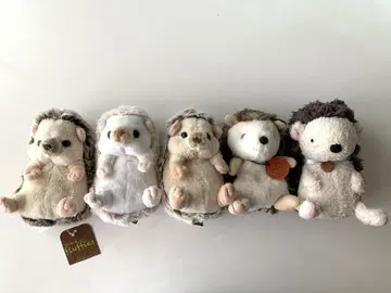 고슴도치 5마리 세트