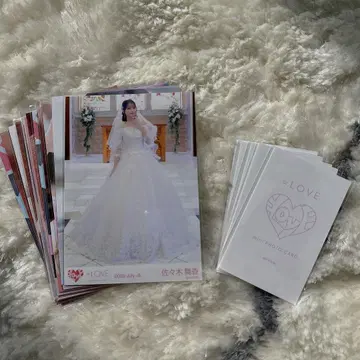이코라부 묶음 판매
