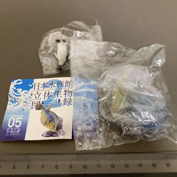일본 수족관 입체 생물 도감 거북복