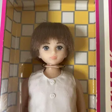 리카짱 캐슬 카케루 군 치장 컬렉션 모델