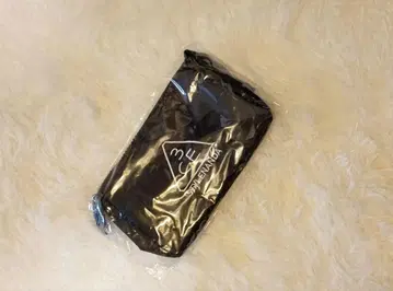 파우치