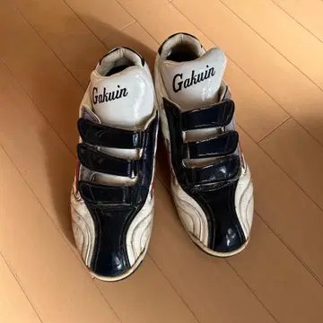 Gakuwin 트레이닝 슈즈