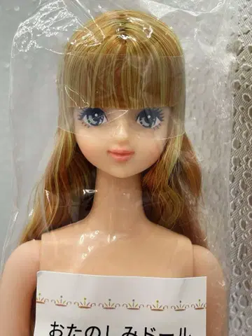 사야카 리카짱 캐슬 즐거운 인형 레어한 눈 제니 프렌드