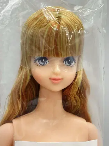 사야카 리카짱 캐슬 즐거운 인형 레어한 눈 제니 프렌드