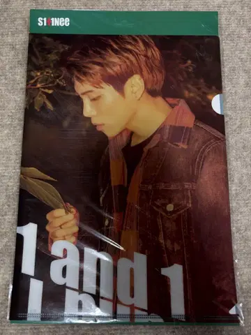 SHINee 1and1 종현 클리어 파일