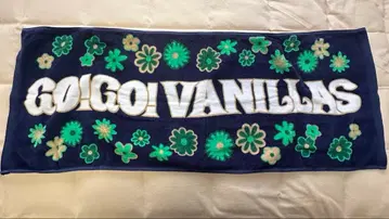 go!go!vanillas 타월 첼시