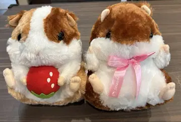 코로하무 콜론 갓 딴 딸기 2체 세트