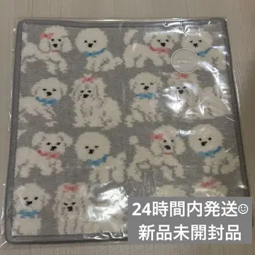페이러 모후모후 완찬 타월 손수건 실버 그레이 x 라이트 그레이