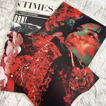 SHINee 태민 Flame of Love 덤 포함