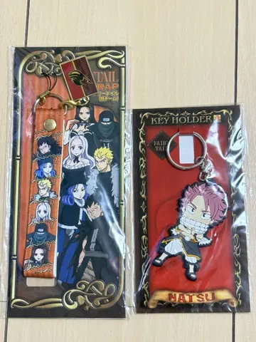 페어리 테일 스트랩 키링 2개 세트