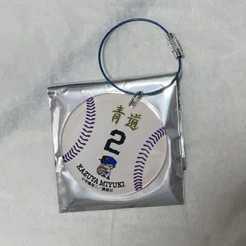 다이아몬드 A 원화전 미유키 카즈야 아크릴 네임택