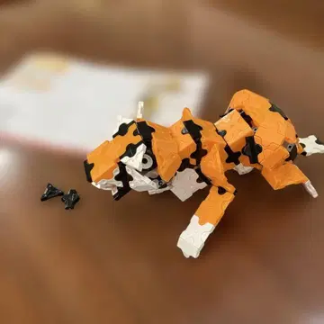 라큐 타이거