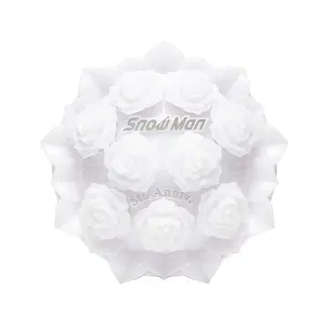 Snow Man 5th Anniversary 응원봉