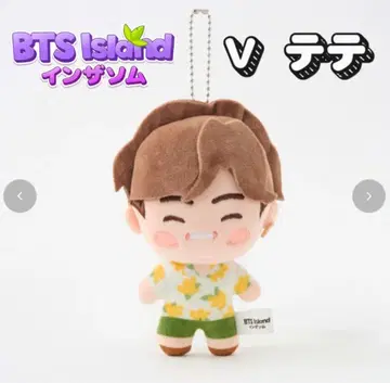 인더숲 V 테테 bts 마스코트 참 태현 봉제 인형