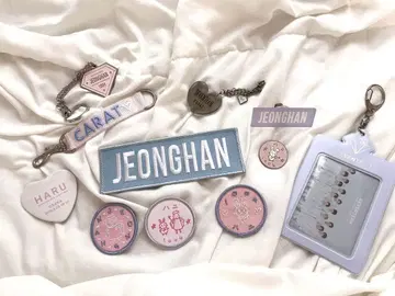 seventeen 정한 공식 핀즈 핀 배지 키링