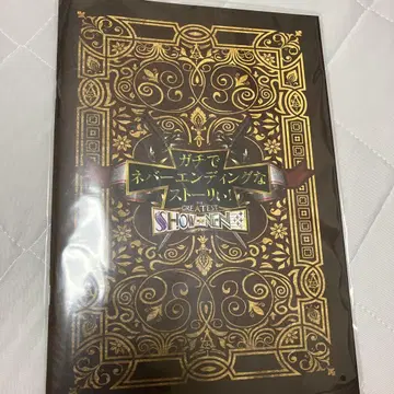 가치네바 팜플렛