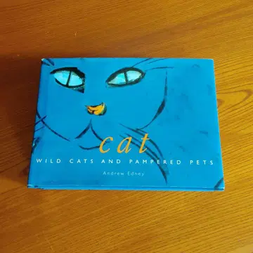 고양이 회화집