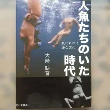 인어들이 살았던 시대 오사키 에이신