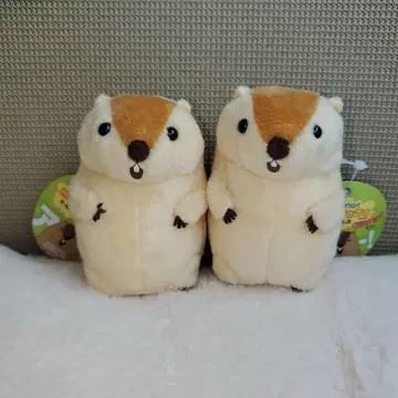 마모트 마스코트