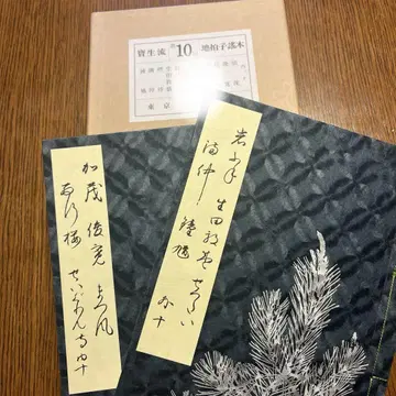 호쇼류 요본 지하쿠시 요본 제10회