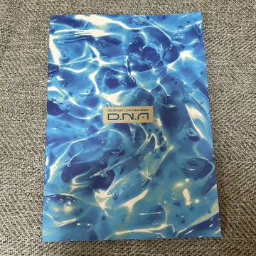 A! group DNA 팜플렛