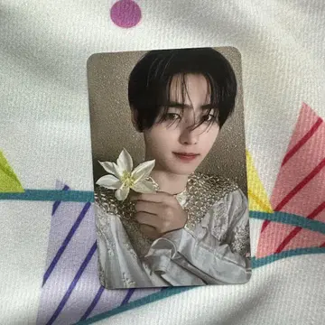 ENHYPEN 사전 녹화 성훈 ORANGE BLOOD 트레이딩 카드