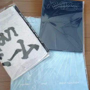 SnowMan 돔 투어 RAYS. 축하 타월, 가벼운 백, 팜플렛