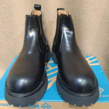 RAUDI 43202