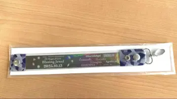 트위스테 브레쥬 블레이징 주얼 회장 한정판 참 Day3