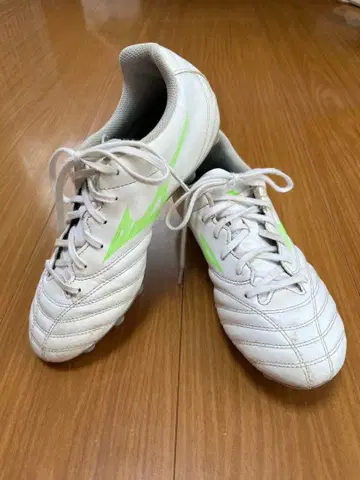 칸나님 미즈노 모나르시다 네오 스파이크 24cm