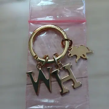 HUNTING WORLD 키링