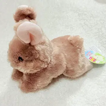 토끼 네덜란드 드워프 봉제 인형 다이토 한정판