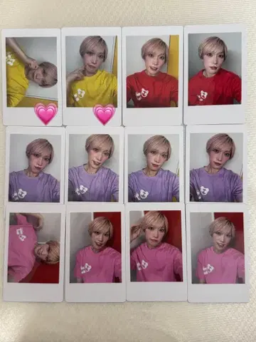 팬더드래곤 파라곤 타이거 하피카