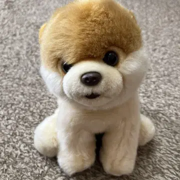 GUND 강아지 봉제 인형 포메라니안