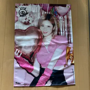 패브릭 포스터 TWICE 사나