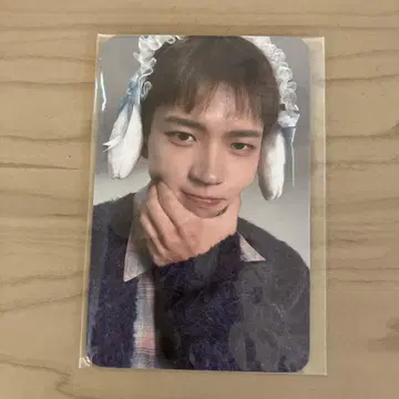 우현 트레이딩 카드