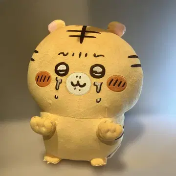 나가노 마켓 나가노의 호랑이 B상